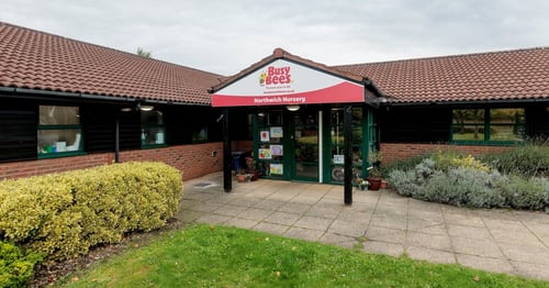 Busy Bees in Northwich - Gallery Photo