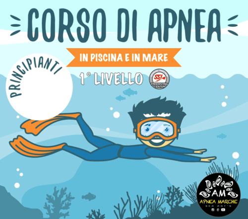 Apnea Corso Principianti