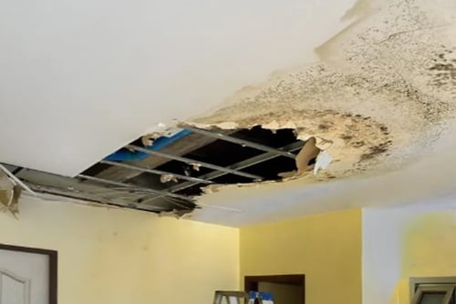 An exposed ceiling reveals water damage and mold growth in a Conway property.