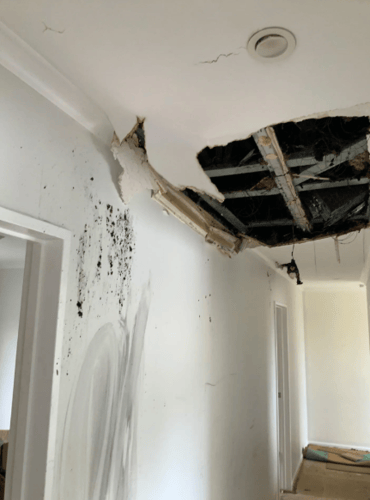 Fire Damage Restoration 1 Reno-Tahoe