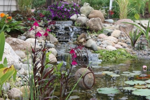 Let us help you create your own "Backyard Oasis"