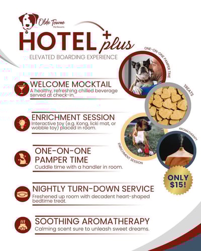 Hotel Plus at OTPR