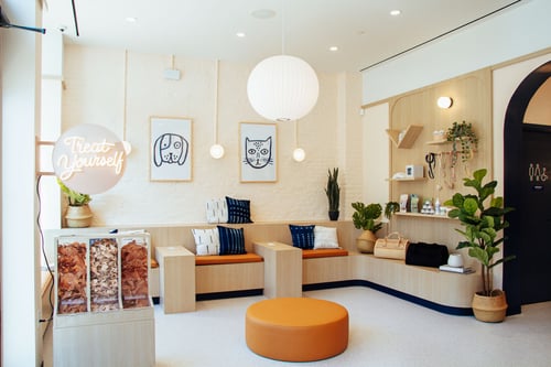 narberth bond vet  lobby staff friendly warm compassionate