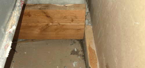 Mold Remediation Restoration 1 Reno-Tahoe