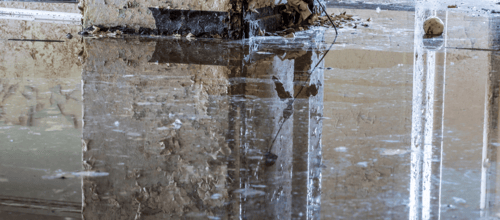 Water Damage Restoration 1 Reno-Tahoe