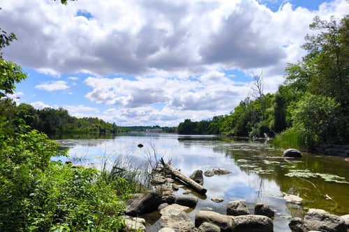 spring river in Peterborough
