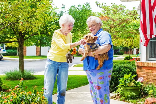 Two residents greeting a small dog on the sidewalk outside a brick villa, with a US flag and flower beds
