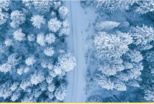 Aerial view of a snow-covered forest with tall pine trees on both sides of a narrow, winding road. The scene conveys a serene, wintry atmosphere.