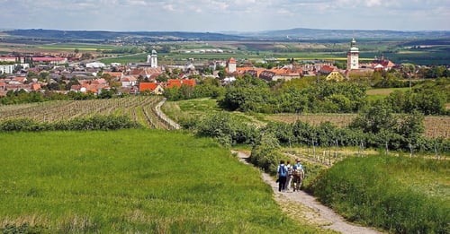 ÖTK-Sektion Retzer Land-Thayatal