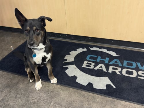 Dog sitting on Chadwick-BaRoss floor mat