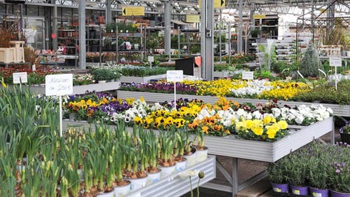 Kissener's Gartenmarkt