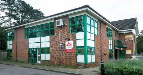 Busy Bees at Letchworth - Gallery Photo