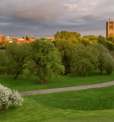 Image of a park in Ottawa