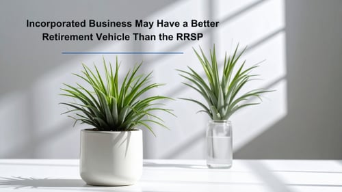 A minimalist image with text, "Incorporated Business May Have a Better Retirement Vehicle Than the RRSP" It features a potted plant casting shadows in soft lighting.