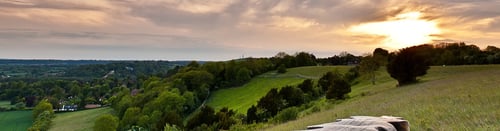 Knight Frank Guildford Estate Agents - office page banner image