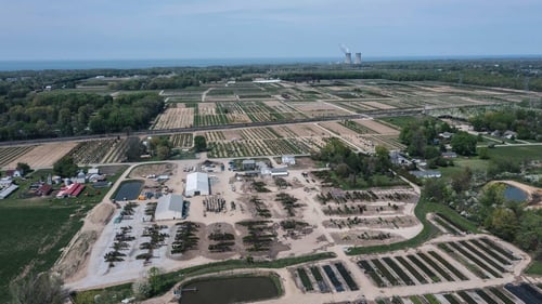 Petitti Family of Farms Losely Location