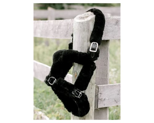 You won't find a more high quality shipping halter on the market!