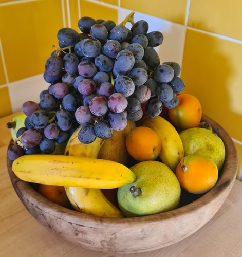 Kita Catering Berlin, Bio Kita Catering Berlin, Kita Essen Berlin, Mittagessen für Kitas Berlin, Kinder Catering Berlin, Bio Vollverpflegung Kita Berlin