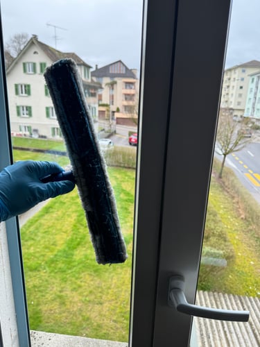 Scheibenreinigung im Treppenhaus bei Wädenswil.