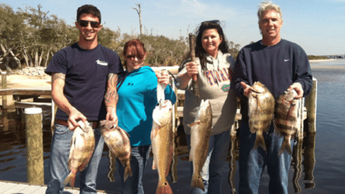 four clients showing fresh catch