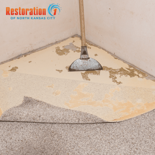 Restoration 1 moisture meter showing hidden mold and water damage under carpet in a Kansas City home.