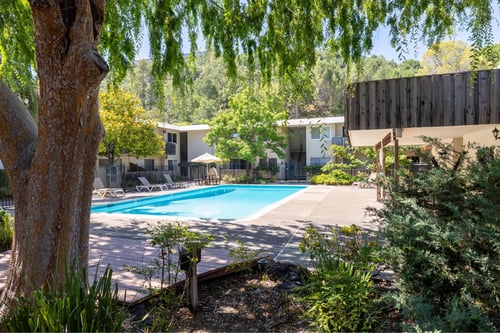 A swimming pool surrounded by trees and plants.at Terra Linda Manor, San Rafael, CA 94903