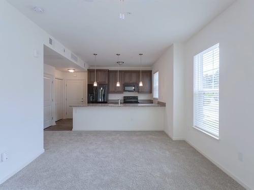 Carpeted Living Room at Carillon Woods, Millsboro