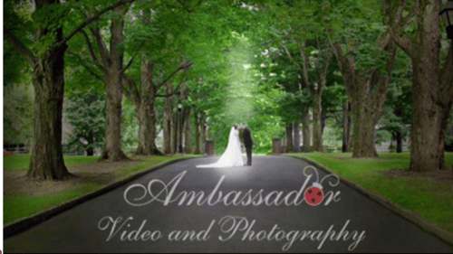 married couple kissing under trees