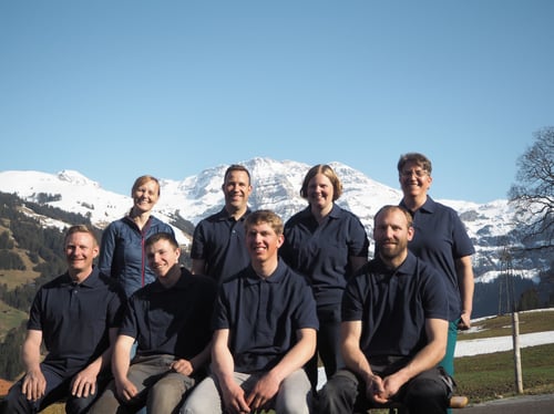 Das Team der allemann gebäudetechni ag