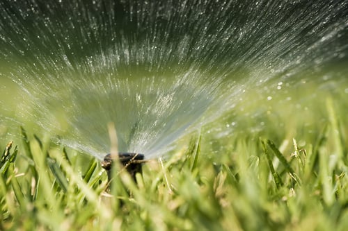 5 Simple Tricks to Prepare Your Sprinkler System for Hibernation