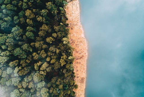 Aerial view of a tranquil scene with a dense, green forest on the left, meeting a sandy shore and calm blue water on the right, evoking serenity.