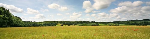 Knight Frank North Hampshire Estate Agents - office page banner image