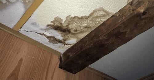 Water Damage Restoration Near Me