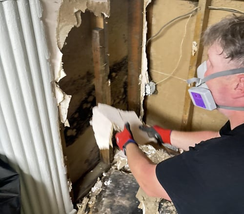 Emergency Water Cleanup Services: Why the First 24 Hours Matter