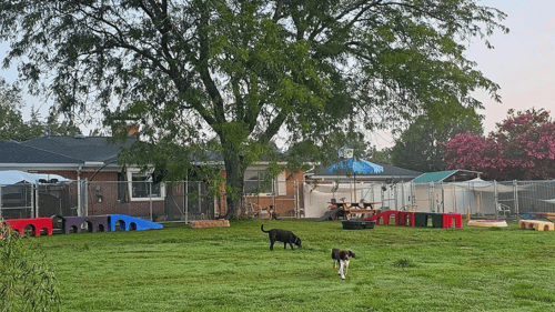 exterior of daycare/boarding & grooming