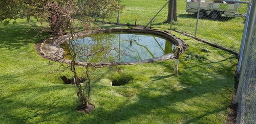 Neugestaltung eines Enten- Hasengeheges