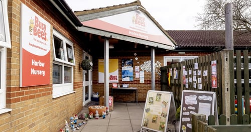 Busy Bees in Harlow - Gallery Photo