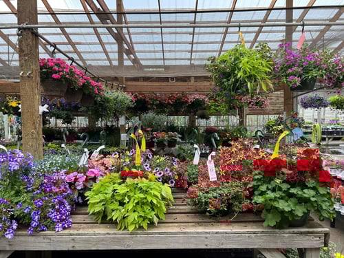 A garden of possibilities starts at Steve's Elk River Nursery.