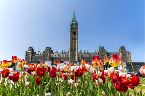 Photo of Ottawa