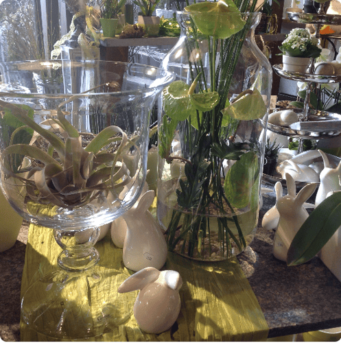 https://www.xn--regg-blumen-thb.ch/