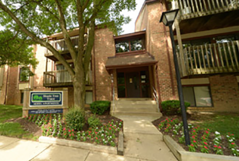 Shade Tree Trace Apartments - GBP Cover Photo