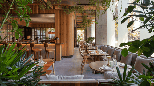 Casa Madera Restaurant in Toronto