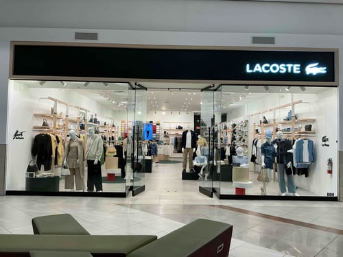 Overall View - Windows (Hero Image)