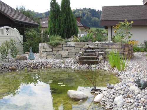 Augsburger Gartenbau GmbH - Anlegen von Teichen und Biotopen