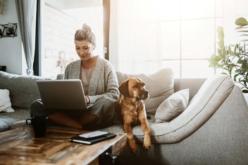 Woman typing on laptop sitting on couch with dog