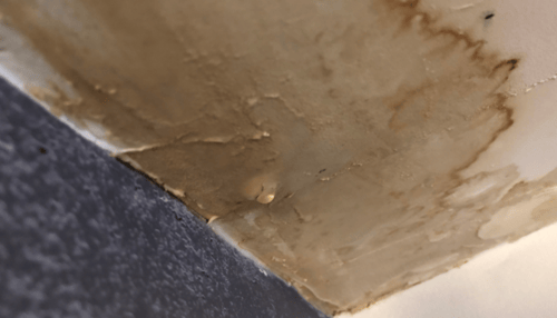 Water Damage Restoration 1 Reno-Tahoe