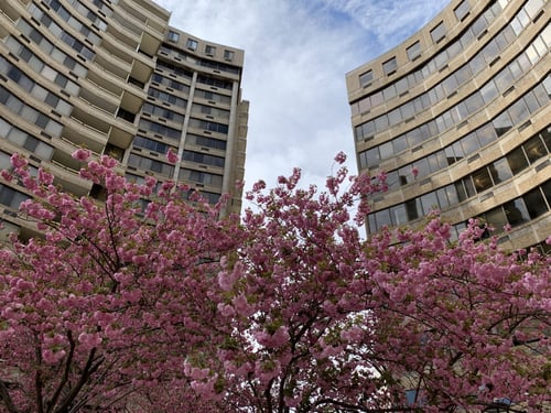 Apartment building at Hampton Plaza Apartments in Towson, MD