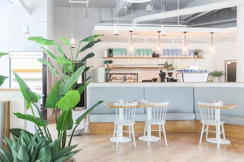 Bluestone Lane Spring Valley Cafe Dining Room