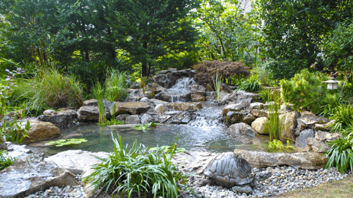 extravagant backyard water display