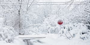 winter-snowstorm-stop-sign